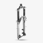 Rockshox Domain (2021 - present)