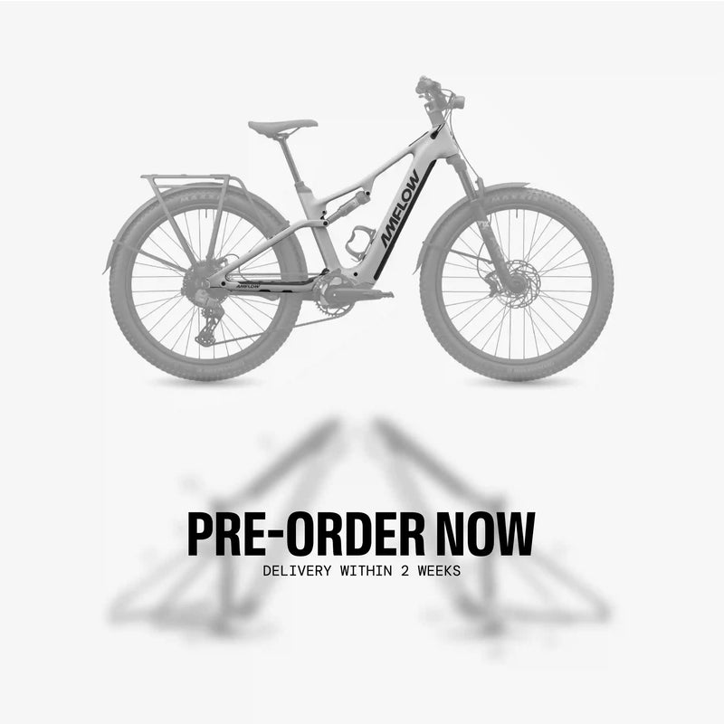 Amflow Tl Carbon (2026 - present)