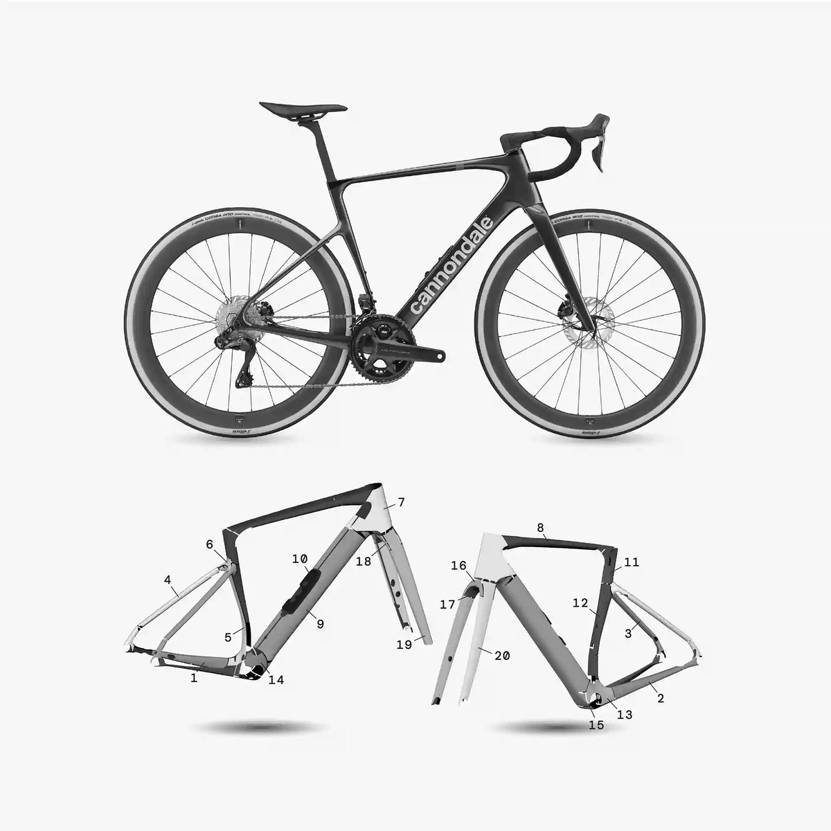 Cannondale Synapse (2025 - present)