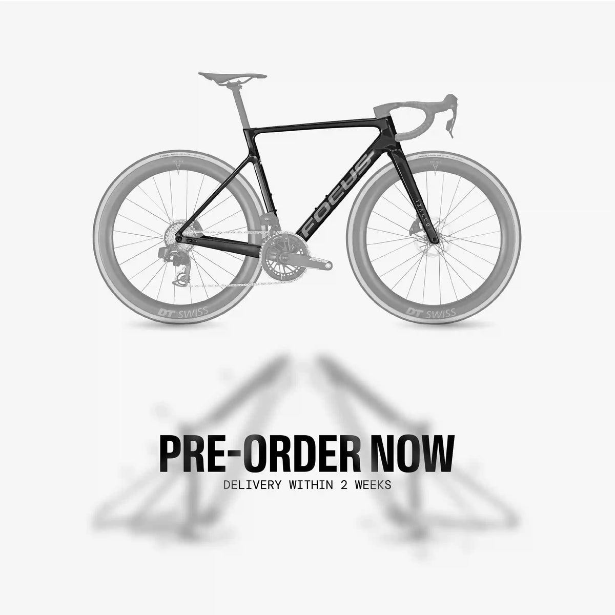 Focus Izalco Max (2024 - present)