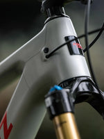 Santa Cruz Blur (2022 - 2022)