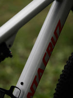 Santa Cruz Blur (2022 - 2022)