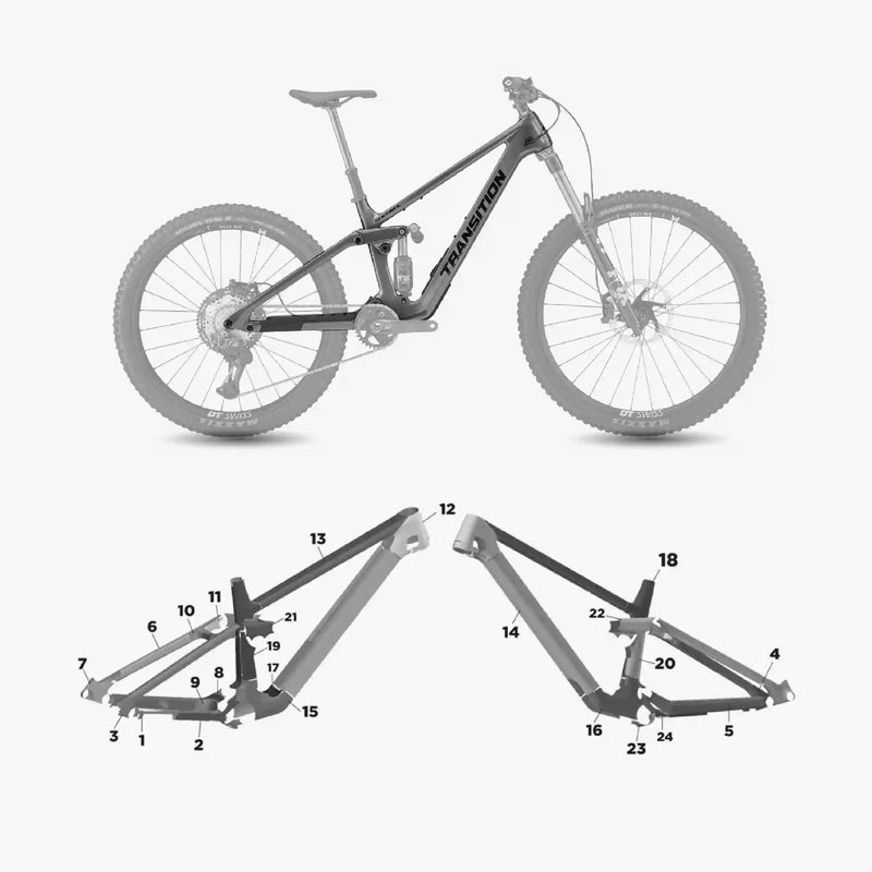 Transition Sentinel Carbon Mx (2026 - present)