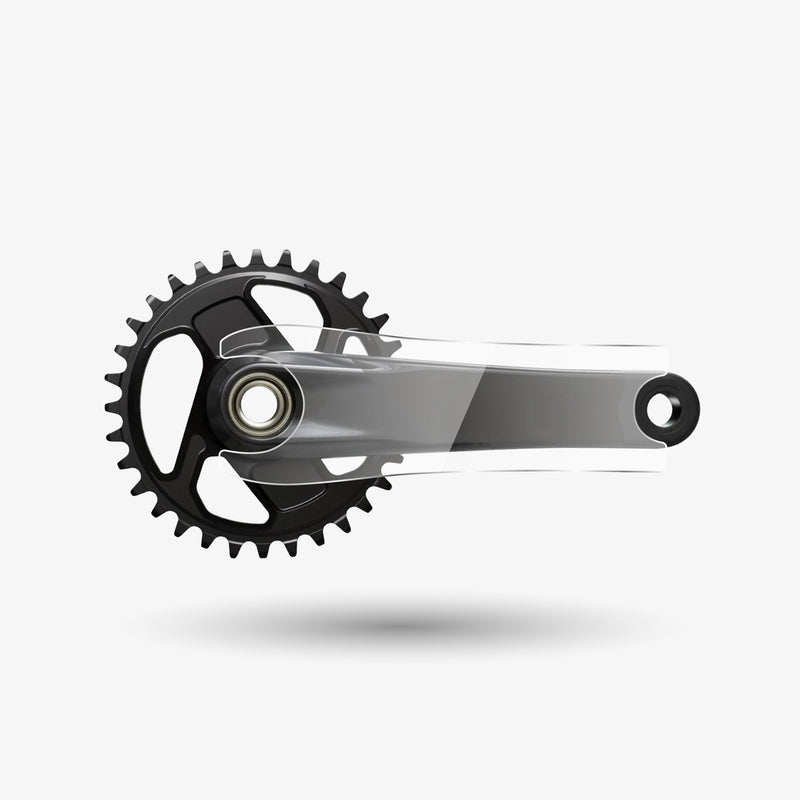 Shimano XT / XTR (2025 - present)