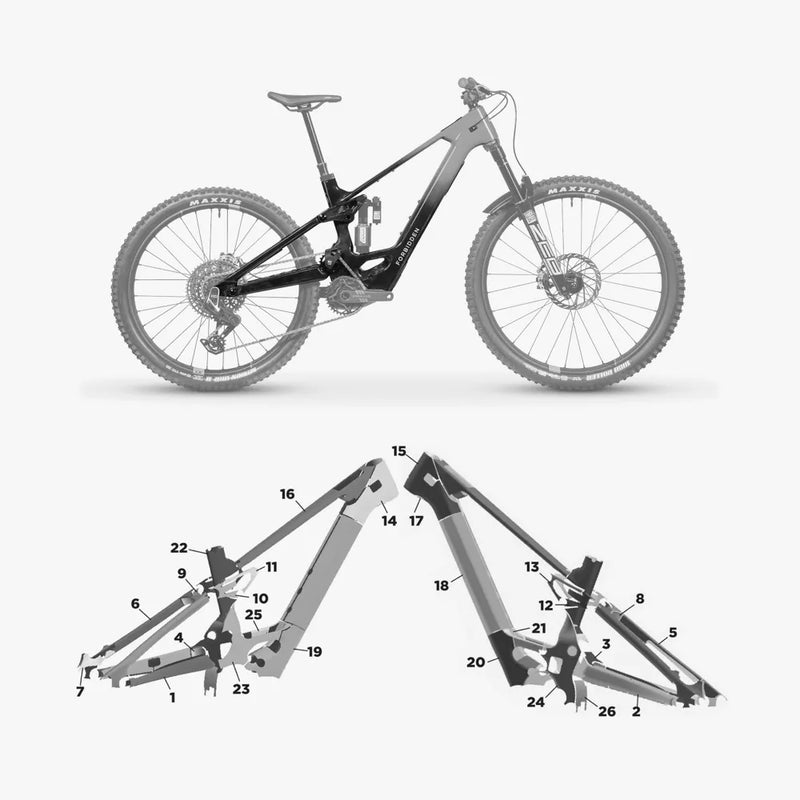 Kit de protection sur mesure Forbidden Druid Core Lite 2025 – film de protection VTT Slicy