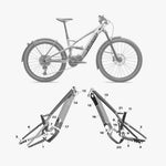 Specialized Tero X (2023 - present)