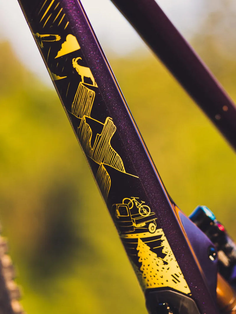 Scor 4060 Frame Protection - 100% Custom