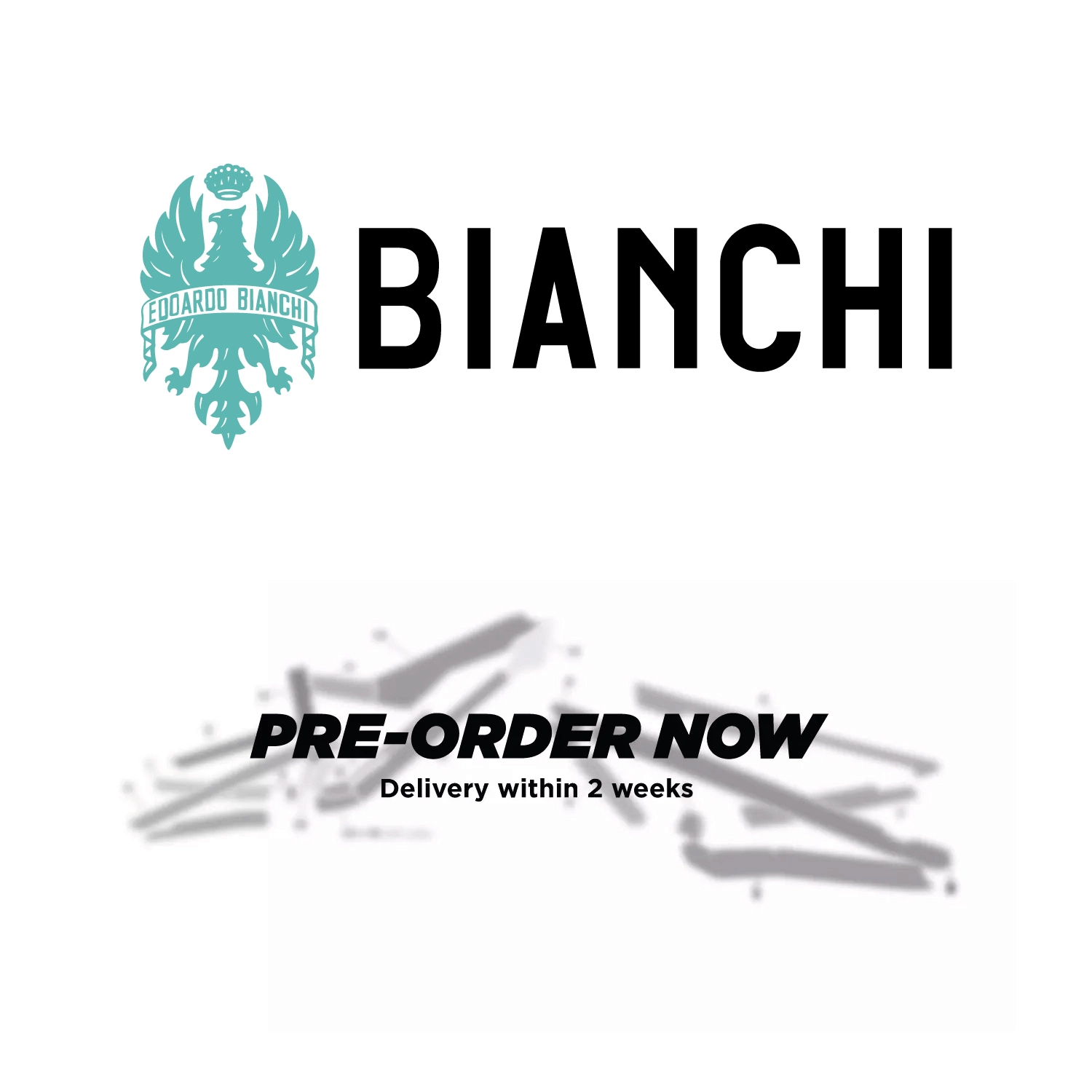 tailored frame protection for Bianchi