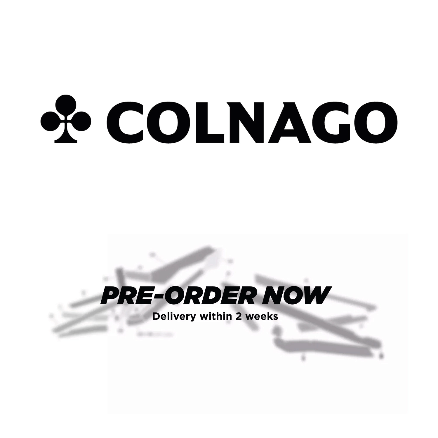 tailored frame protection for Colnago